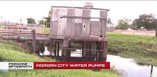 Morgan City mayor says water pumps were on and working for Hurricane Francine