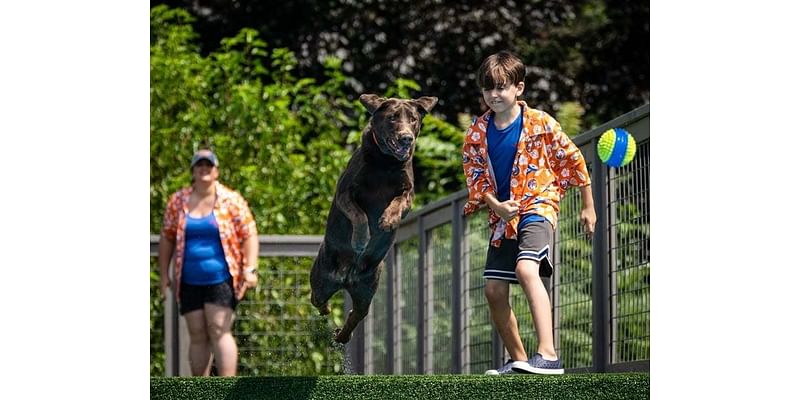 St. James Student And His Dog Win 3rd In International Championship