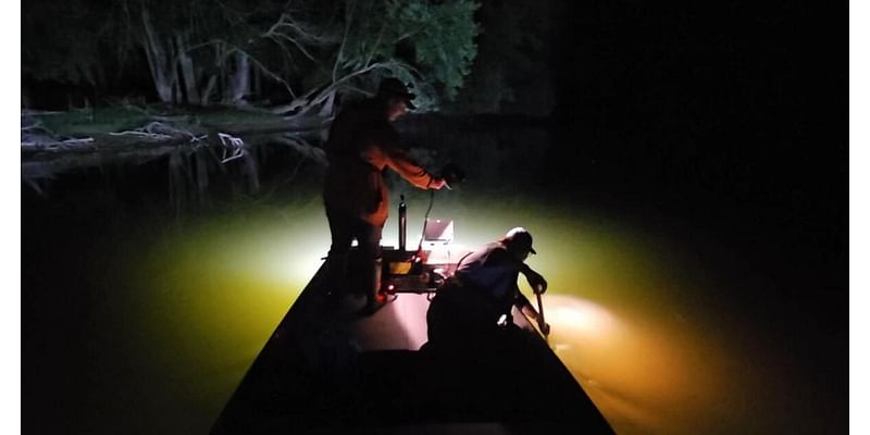 Late-night lake sturgeon: GRPM continues surveys on the Grand River