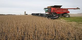 Trump trade policy seen as wild card for US soybean farmers, opportunity for crushers