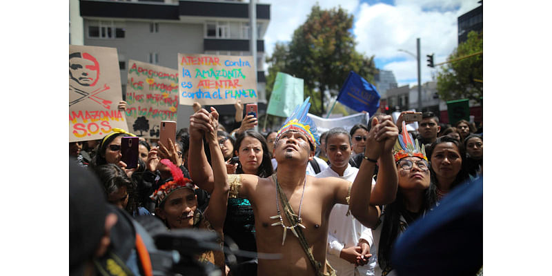 Efforts to combat deforestation in Colombia lag because of armed groups, report finds