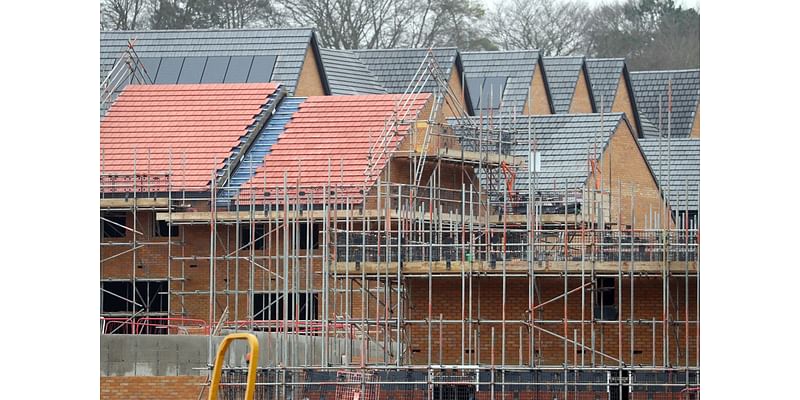 Call to put gardens at heart of housebuilding push for nature and climate