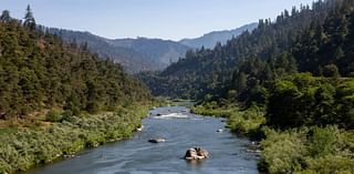 Walters: A century later, salmon spawn again in Klamath River after dams removed