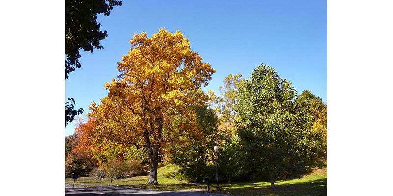 Mild weather today, but a shift coming this week