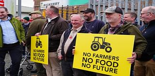 Farmers ‘betrayed’ over inheritance tax but should not withhold food – NFU chief