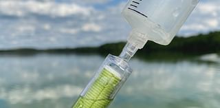 Health alert extended for toxic blue-green algae at southeast Nebraska lake