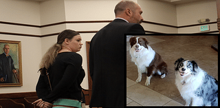 No-show Hilton Head pet-sitter gets jail time after dog died under her care