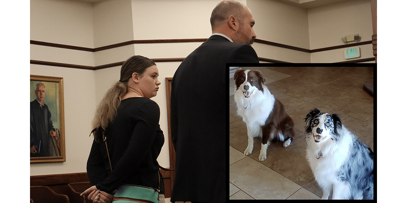 No-show Hilton Head pet-sitter gets jail time after dog died under her care