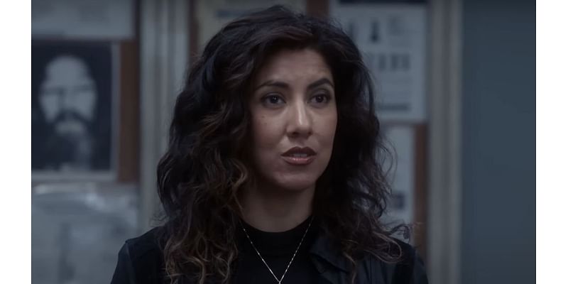 I've Been Watching Brooklyn Nine-Nine And I Need To Talk About Rosa's Coming Out Arc