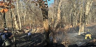 Monroe Crews Tackle Tricky Brush Fire