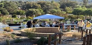 Temecula Unveils New Pollinator Garden For Bees, Bats And Butterflies