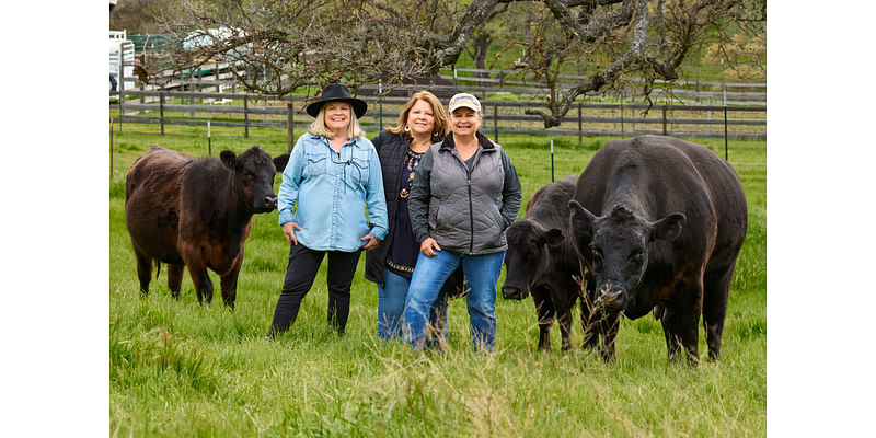 Alameda County Fair’s ‘fields of gratitude’ display honors local agricultural heritage