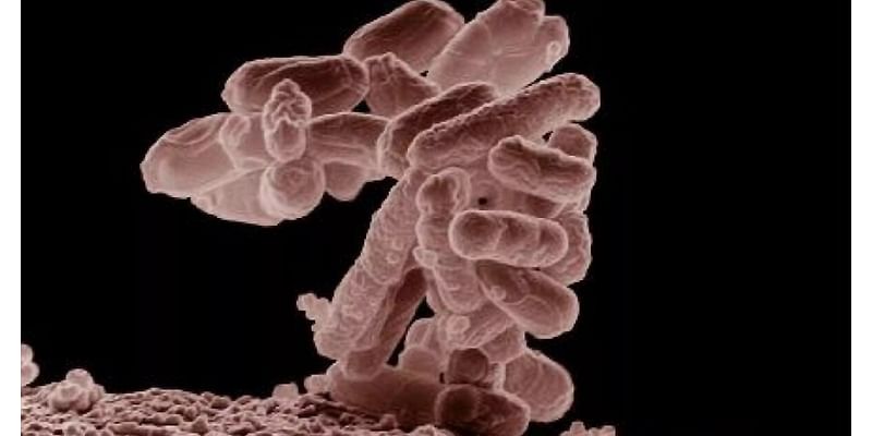 St. Louis County health officials confirm 69 cases of E. coli, expand investigation to 4 events