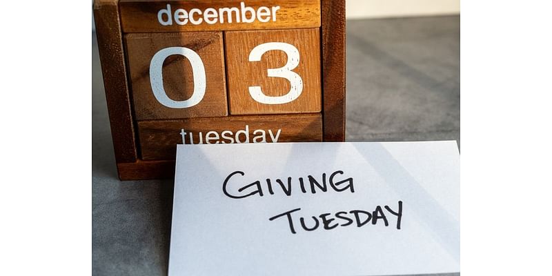 5 Wilton Nonprofits To Support This Holiday Season