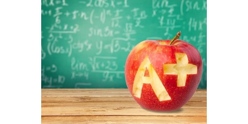 These Are The Best School Districts In FL, New Ranking Says