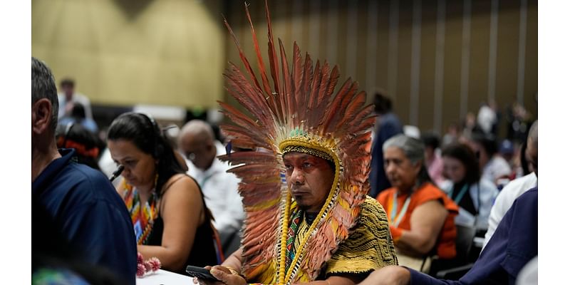 At U.N. summit, historic agreement to give Indigenous groups voice on nature conservation decisions