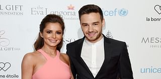 Inside Liam Payne's rocky romance with Cheryl: How pressures of parenthood and struggles with drugs may have fuelled split - after they first crossed paths when he was 14