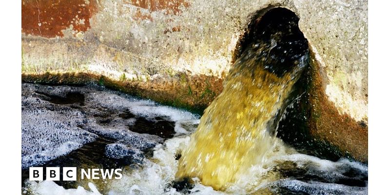 Treatment boss tells Welsh government to do more on water pollution