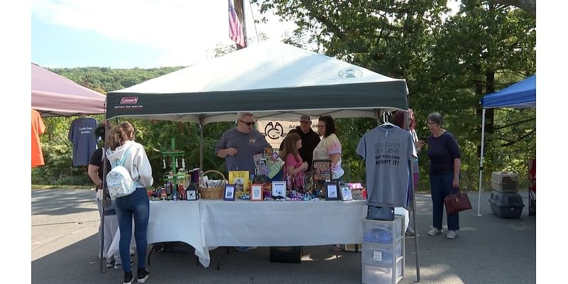 St. Cats and Dogs hosts fourth annual Paws in the Park to boost adoptions