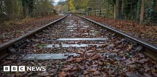 Southeastern Railway: New timetable as firm prepares for leaf fall