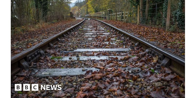 Southeastern Railway: New timetable as firm prepares for leaf fall