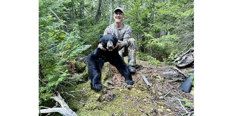 There is only one 1st black bear harvest