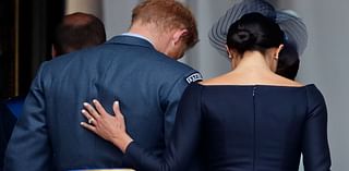 The REAL reason why Meghan Markle is 'hands on' with Prince Harry: Duchess's 'double clutch' is a 'gesture of ownership', body language expert says