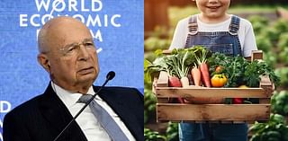 Grown Food to Stop 'Global Warming'