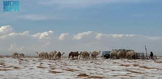 Photos: Hail blankets Saudi Arabian desert creating winter-like landscape