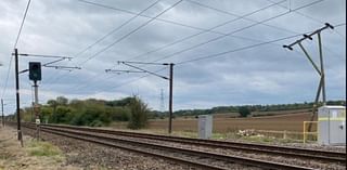 Damaged telegraph pole leads to rail disruption