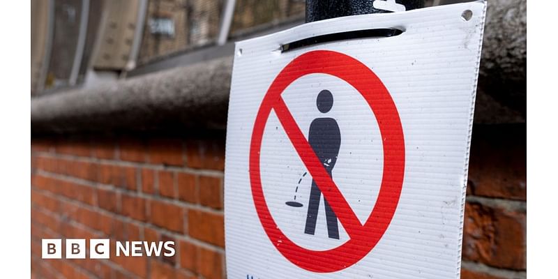 York considers £100 fines for street urination and dog fouling