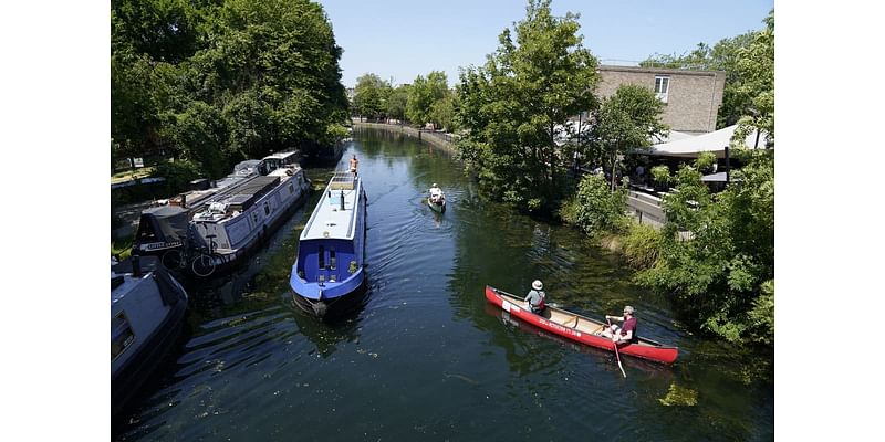 ‘Dozens’ of swans found dead in London canal with Defra investigation launched