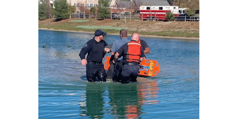 Anne Arundel County officers rescue couple after car plunges into pond