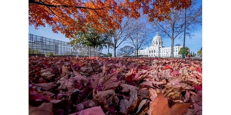 Average Minnesota legislative seat swung two points to the right, data show