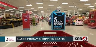 From Black Friday to Cyber Monday: How to avoid holiday shopping scams