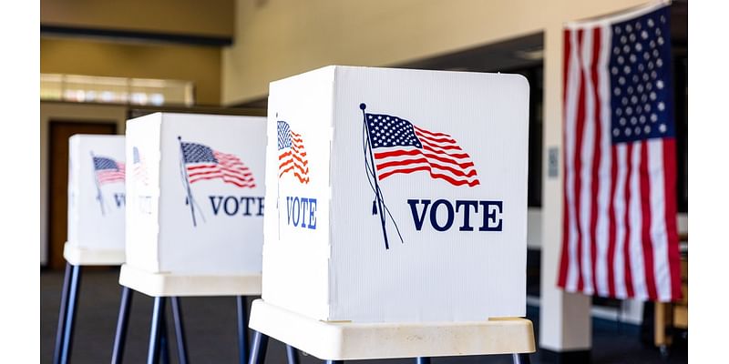 All Illinois voters will face these advisory questions in the 2024 election