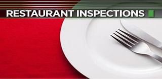 Fruit fly like insects near mop sink: York County restaurant inspections, Sept. 24, 2024