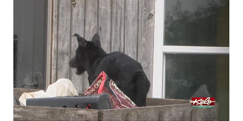 Officers keeping animals safe in KELOLAND