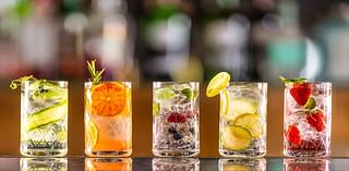 Gin And Tonic Pairings: How To Choose The Best Tonic For Your Gin