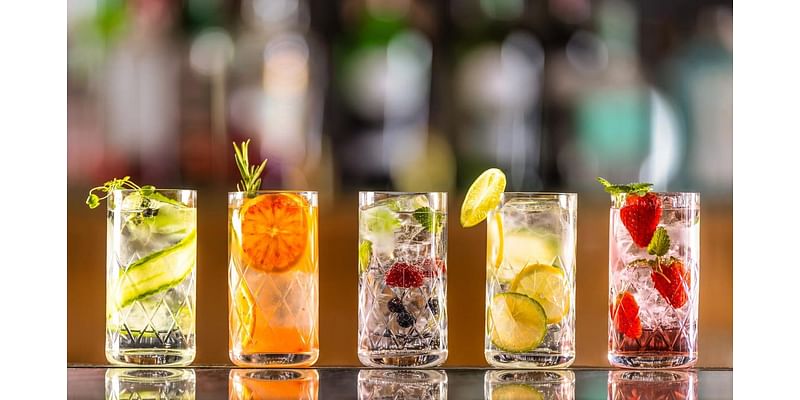 Gin And Tonic Pairings: How To Choose The Best Tonic For Your Gin