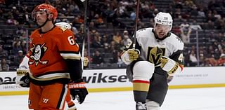 Nicolas Roy, Tomas Hertl and Pavel Dorofeyev score and Golden Knights hold on to beat Ducks 3-2