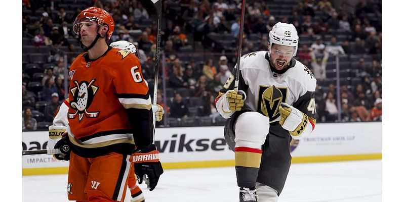 Nicolas Roy, Tomas Hertl and Pavel Dorofeyev score and Golden Knights hold on to beat Ducks 3-2