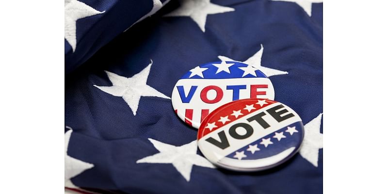 How To Register To Vote In Walnut Creek