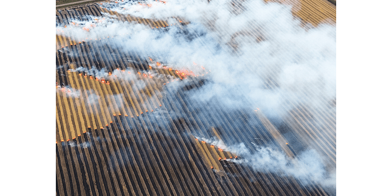 Arkansas Advocate: Smoke from burning crop residue poses challenges one lawmaker wants to address