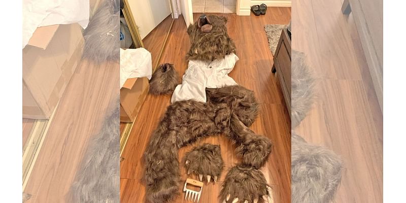 Suspects arrested for faking bear attacks with bear costume – NBC 6 South Florida