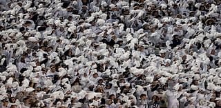 White Out game reaches 20th anniversary