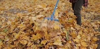 Curbside yard waste collection ends Dec. 13 in the city of Peoria