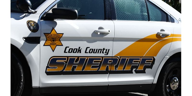 Cook County Sheriff's police aim to keep suburban polls safe and secure