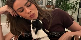 Sofia Vergara shows off design carrier case for her dog: 'Dolce baby'