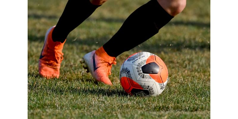 Berks high school boys soccer roundup